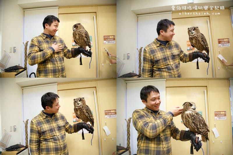 九州福岡必去．OWL Family 貓頭鷹咖啡廳（超療癒超萌可愛值爆表）