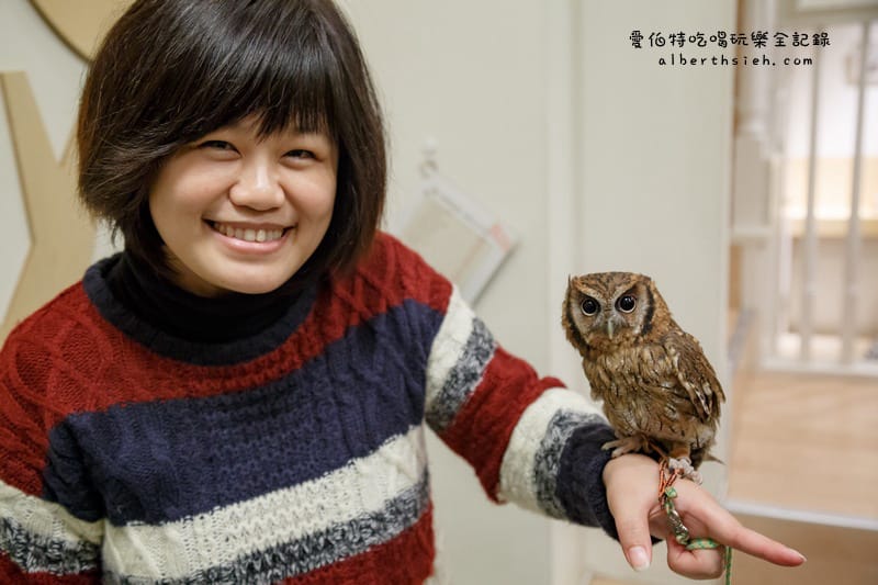 九州福岡必去．OWL Family 貓頭鷹咖啡廳（超療癒超萌可愛值爆表）
