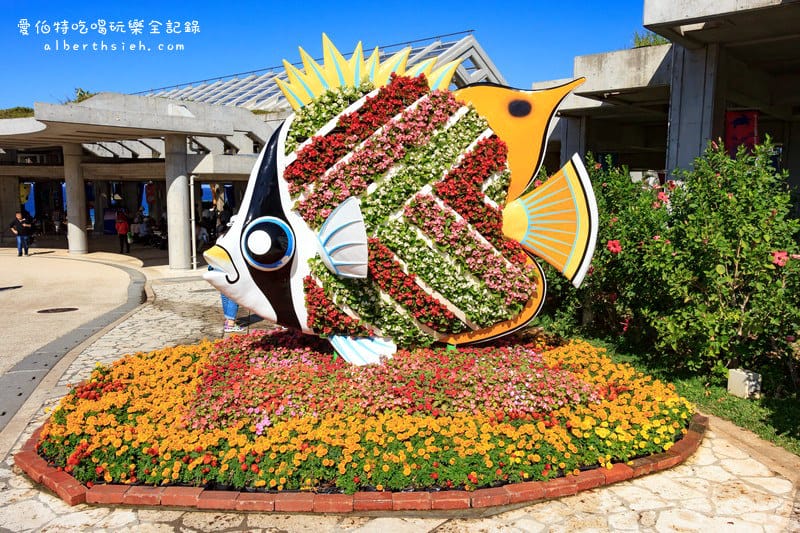 沖縄美麗海水族館（令人驚艷的世界最大規模水族館）