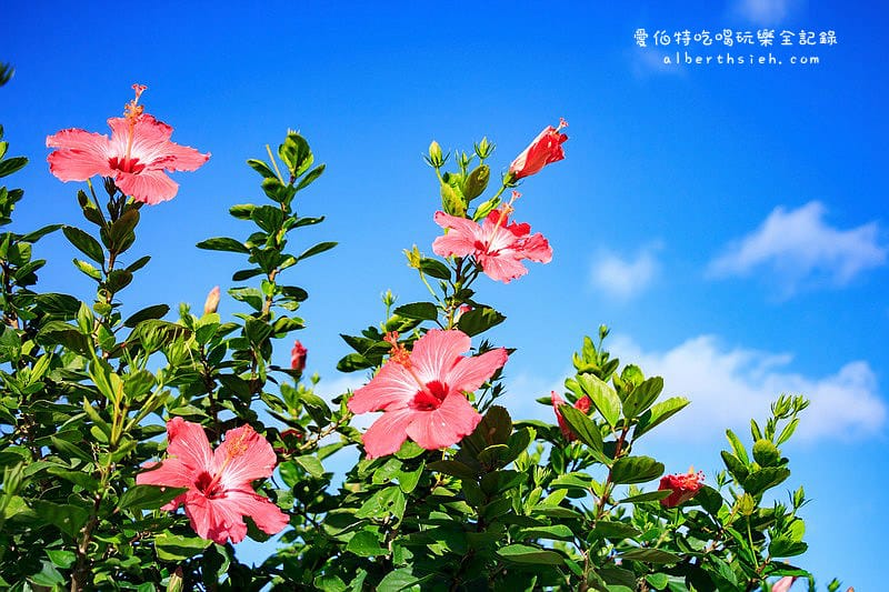 沖縄美麗海水族館（令人驚艷的世界最大規模水族館）