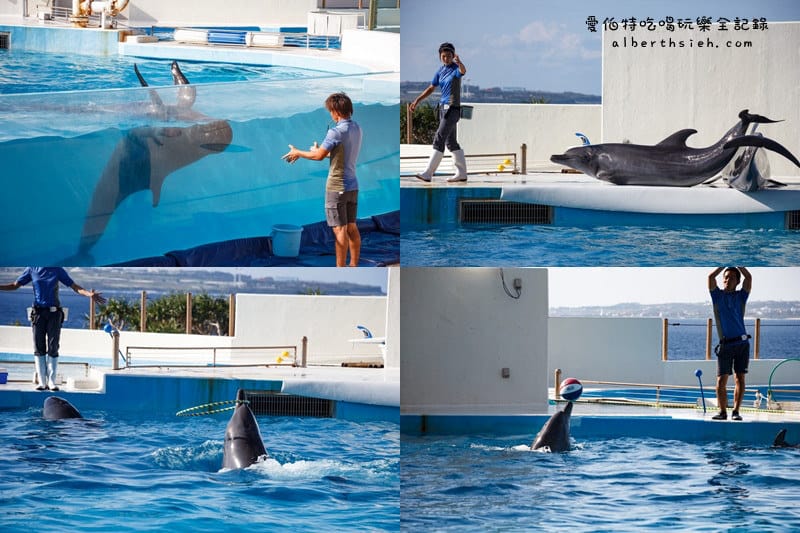 沖縄美麗海水族館（令人驚艷的世界最大規模水族館）