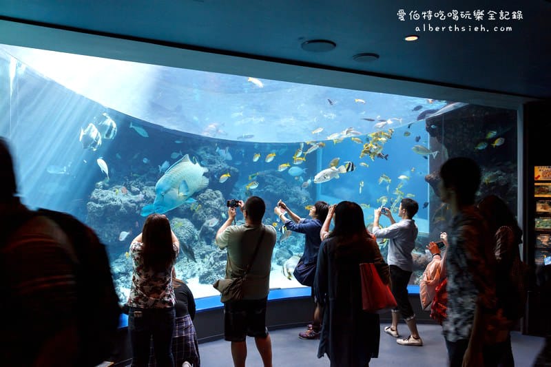 沖縄美麗海水族館（令人驚艷的世界最大規模水族館）