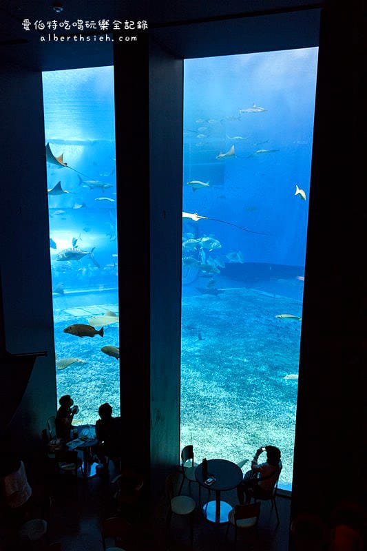 沖縄美麗海水族館（令人驚艷的世界最大規模水族館）