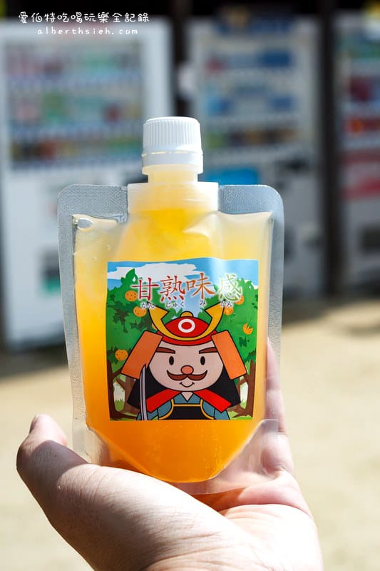 伊予松山城．四國愛媛景點（最高海拔的城堡，需要搭乘空中纜車登山）