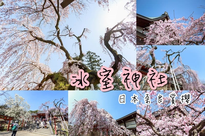 志津香釜飯．奈良美食推薦（當地人氣排隊料理）