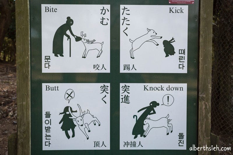 春日大社．奈良景點（赤乳神社白乳神社藤浪之屋超特別）
