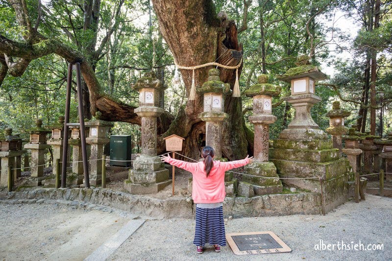 春日大社．奈良景點（赤乳神社白乳神社藤浪之屋超特別）