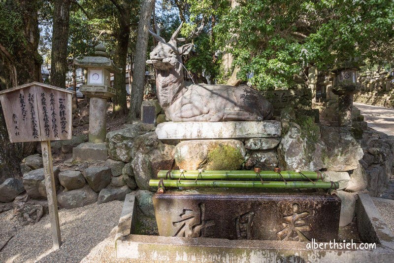 春日大社．奈良景點（赤乳神社白乳神社藤浪之屋超特別）