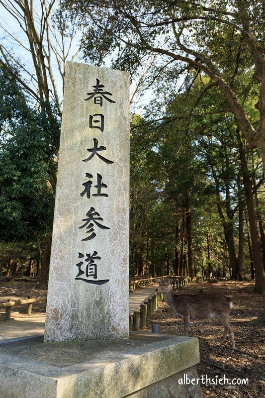 春日大社．奈良景點（赤乳神社白乳神社藤浪之屋超特別）