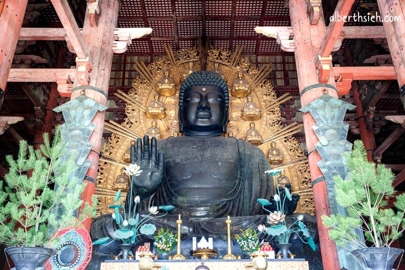 東大寺．奈良景點（大佛殿為世界最大木造建築）