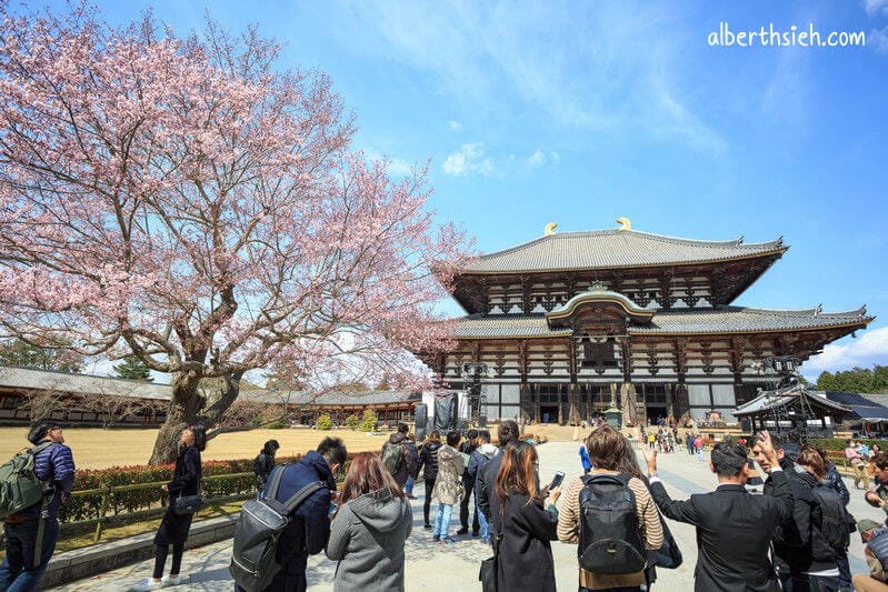 東大寺.奈良景點(大佛殿為世界最大木造建築) - 第14張圖 東大寺.奈良景點(大佛殿為世界最大木造建築)
