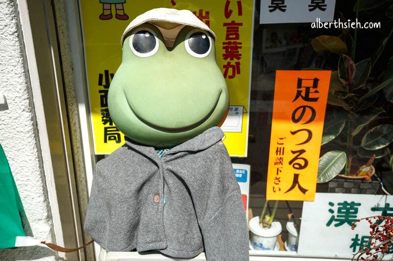東向商店街、三条通、大國藥粧（奈良購物逛街美食小吃都在這）