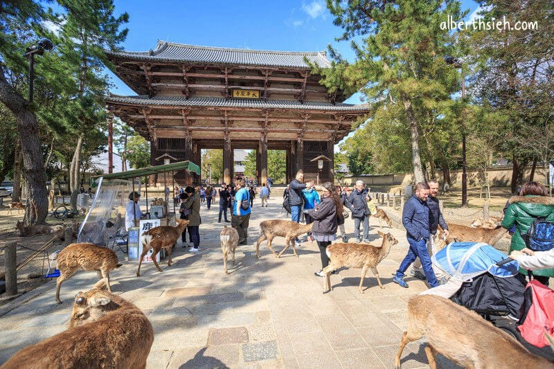 奈良公園（超可愛的小鹿斑比要衝來跟你要鹿仙貝嘍）