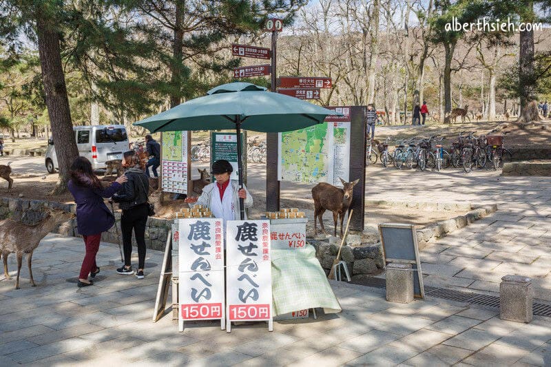 奈良公園（超可愛的小鹿斑比要衝來跟你要鹿仙貝嘍）