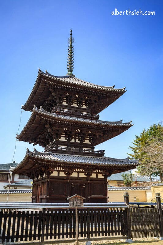 興福寺、漢國神社、猿澤池．奈良景點（國寶五重塔為僅次於京都東寺的第二高古塔）