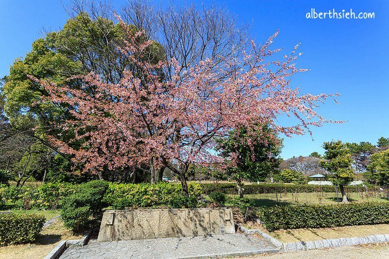 名古屋城．名古屋景點（德川家康輝煌歷史&特別的雙螺旋樓梯）
