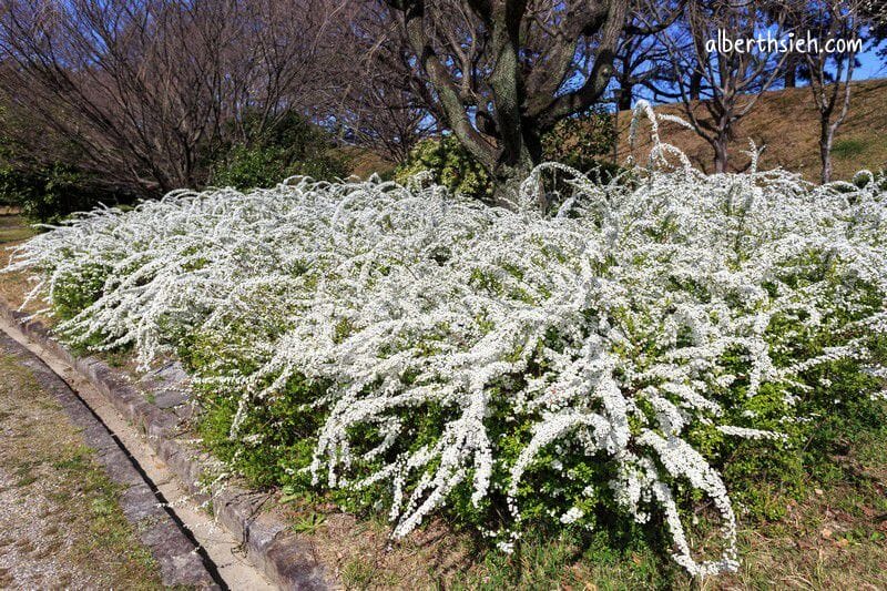 名古屋城．名古屋景點（德川家康輝煌歷史&特別的雙螺旋樓梯）