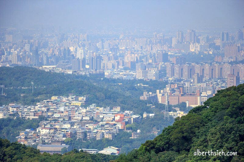 福源山步道百年大榕樹．龜山樹林景點（居高臨下眺望三鶯樹林台北盆地）