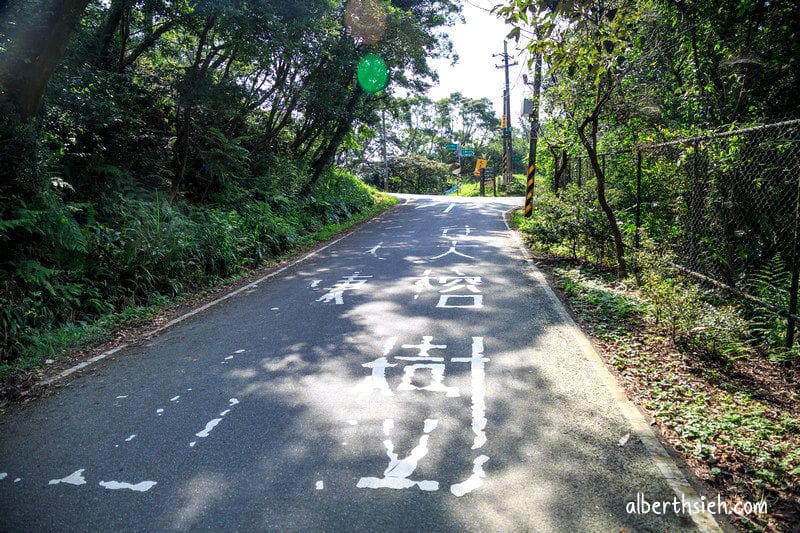 福源山步道百年大榕樹．龜山樹林景點（居高臨下眺望三鶯樹林台北盆地）
