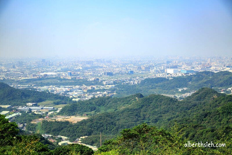 福源山步道百年大榕樹．龜山樹林景點（居高臨下眺望三鶯樹林台北盆地）