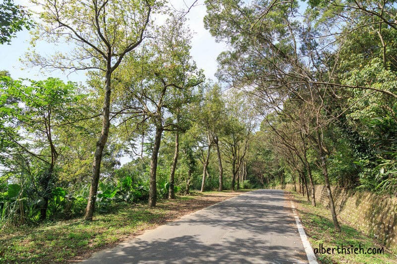 福源山步道百年大榕樹．龜山樹林景點（居高臨下眺望三鶯樹林台北盆地）