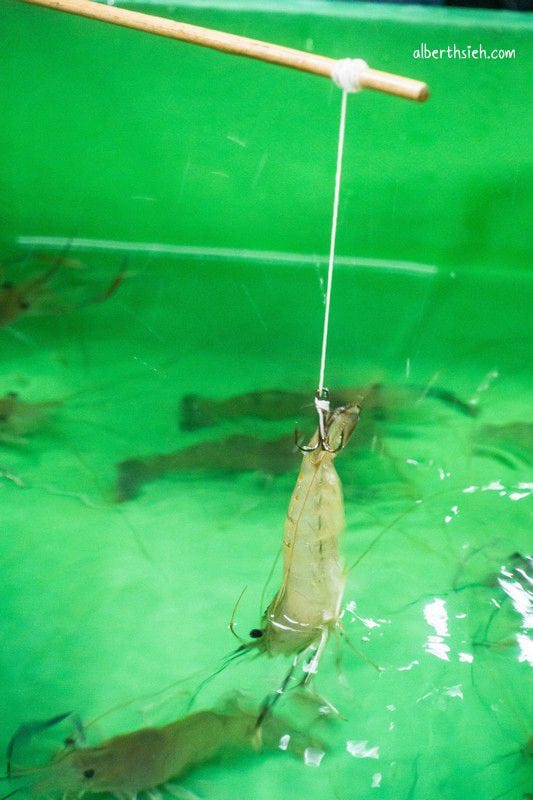 樹林興仁花園夜市（配置遮雨棚電風扇吃喝玩樂共400攤等你來）