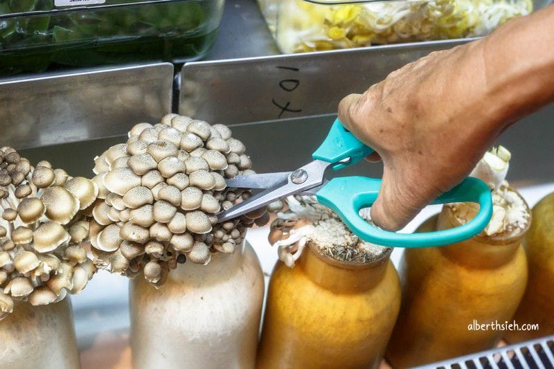 百食繪：歡樂夢想國．桃園大溪美食（素食吃到飽但食材不打折）