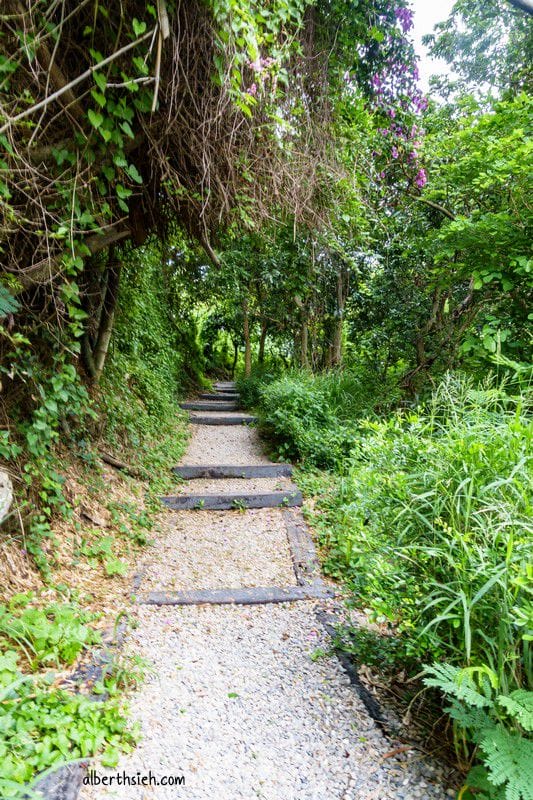 八卦山天空步道．彰化景點（1000公尺長的步道可以輕鬆散步賞美景）