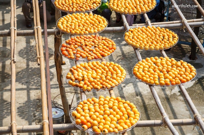 新竹攝影一日遊．味衛佳柿餅、湖口老街、南寮漁港、香山豎琴橋（台北相機街暑假拍樂趣）