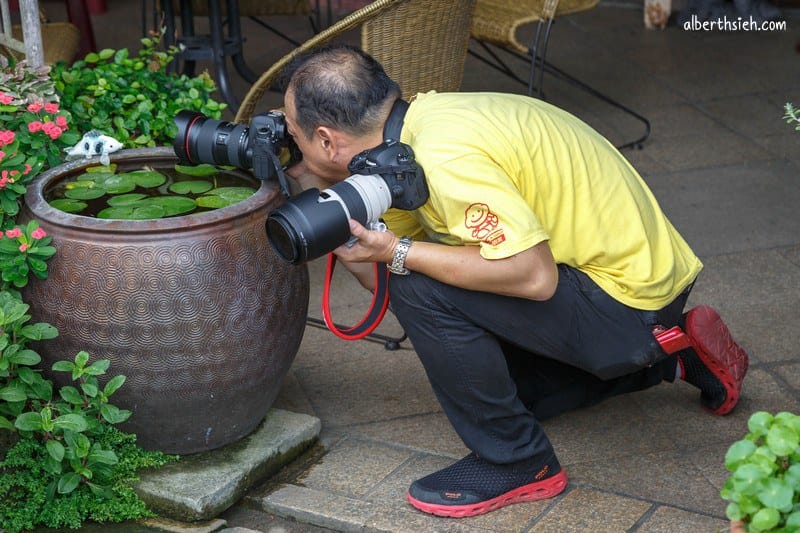 新竹攝影一日遊．味衛佳柿餅、湖口老街、南寮漁港、香山豎琴橋（台北相機街暑假拍樂趣）