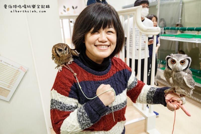 九州福岡嬰兒藥妝採買五天四夜行程規劃攻略懶人包