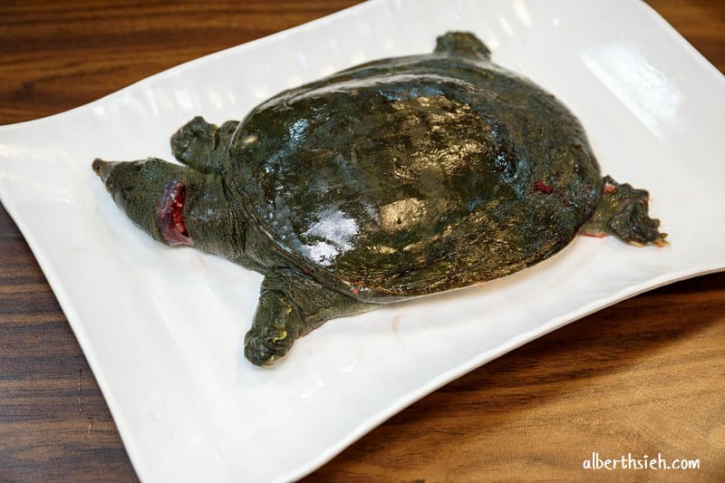 大母雞創意燉鍋．桃園美食（獨特的藥膳養生湯頭火鍋）