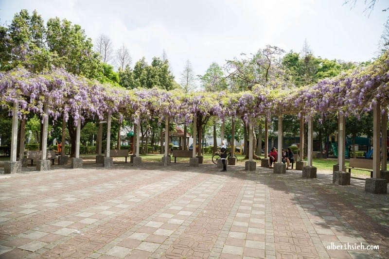 龍德公園紫藤花.桃園中壢景點(藏身於社區內的浪漫紫藤花香) - 第3張圖 龍德公園紫藤花.桃園中壢景點(藏身於社區內的浪漫紫藤花香)