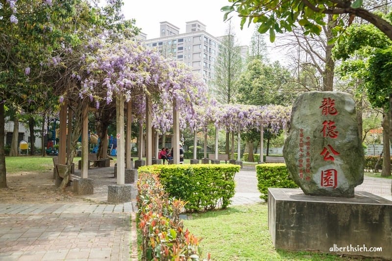 龍德公園紫藤花.桃園中壢景點(藏身於社區內的浪漫紫藤花香) - 第2張圖 龍德公園紫藤花.桃園中壢景點(藏身於社區內的浪漫紫藤花香)