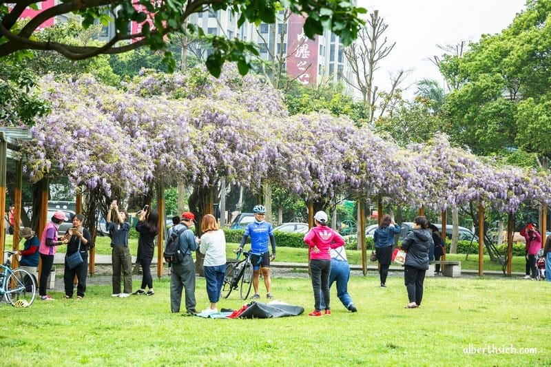 元生公園紫藤花.桃園中壢景點(內壢家樂福旁充滿紫色浪漫氣息的公園) - 第5張圖 元生公園紫藤花.桃園中壢景點(內壢家樂福旁充滿紫色浪漫氣息的公園)