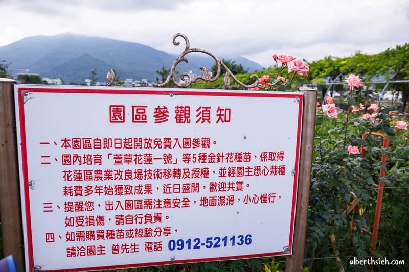 嘉德萱草花田．花蓮吉安景點（期間限定的免費平地彩色金針花）