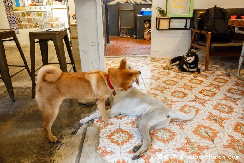 斗宅商社．花蓮咖啡廳（柴犬咖啡麵包棒棒糖可愛又療癒）