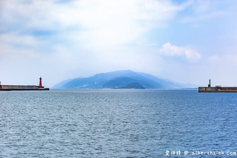 多羅滿賞鯨．花蓮親子景點（跟著黑潮出海友善探訪花紋海豚）