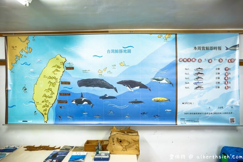 多羅滿賞鯨．花蓮親子景點（跟著黑潮出海友善探訪花紋海豚）