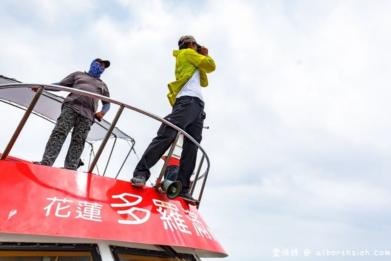 多羅滿賞鯨．花蓮親子景點（跟著黑潮出海友善探訪花紋海豚）