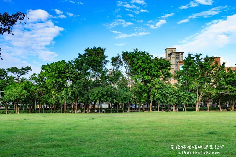 朝陽森林公園&朝陽水語教育園區（生態資源豐富還有必拍的桃園藍曬圖）