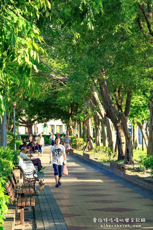 朝陽森林公園&朝陽水語教育園區（生態資源豐富還有必拍的桃園藍曬圖）