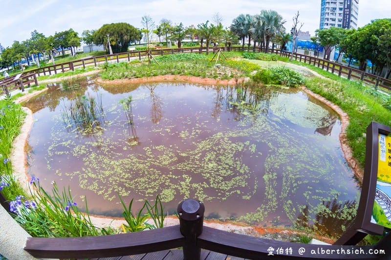 朝陽森林公園&朝陽水語教育園區（生態資源豐富還有必拍的桃園藍曬圖）