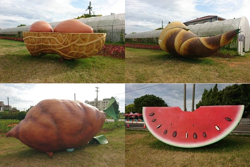 2018桃園觀音蓮花季一日遊（白沙岬燈塔/主展場賞蓮花/蓮荷園/大田蓮花農場/向陽農場/表演活動/交通資訊）