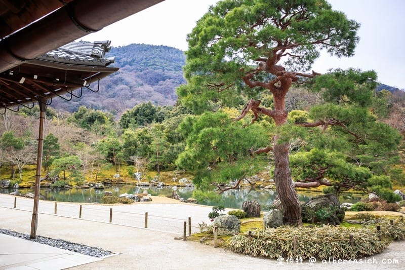 天龍寺．京都嵐山景點（世界文化遺產，曹源池庭園令人讚嘆如日本畫般的美麗）