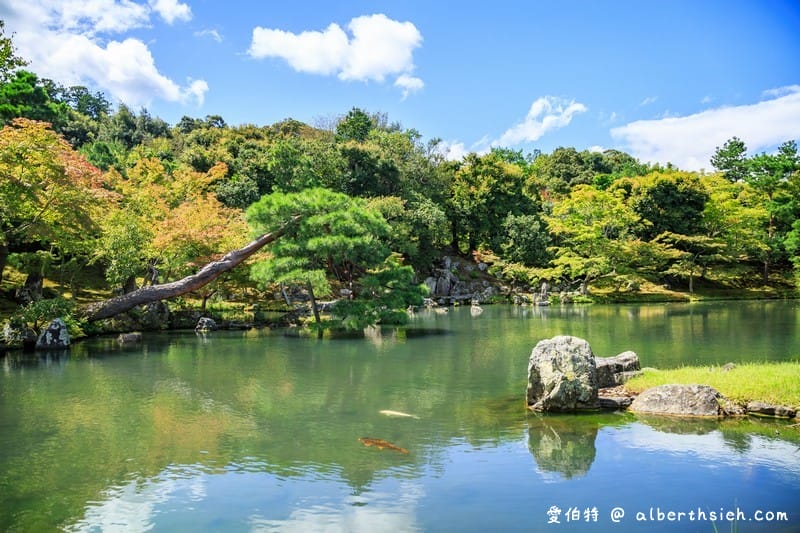 天龍寺．京都嵐山景點（世界文化遺產，曹源池庭園令人讚嘆如日本畫般的美麗）