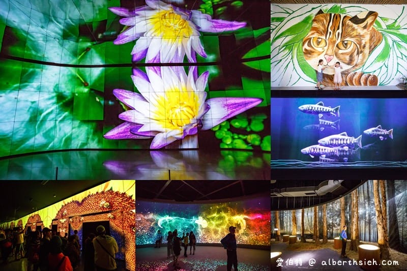 2018台中花博懶人包（展區/票價/時間/交通/停車場/周邊美食景點）
