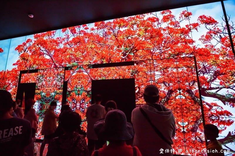 台中花博．后里森林園區發現館/友達微美館（瞭解大甲溪生態並利用556吋大螢幕超微觀世界）