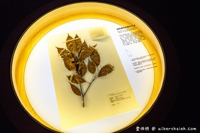台中花博．后里森林園區發現館/友達微美館（瞭解大甲溪生態並利用556吋大螢幕超微觀世界）
