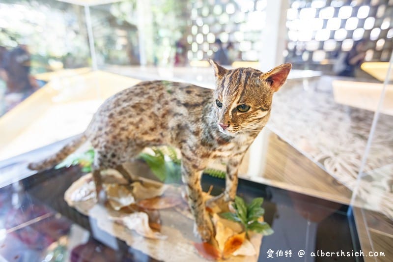 台中花博．后里森林園區發現館/友達微美館（瞭解大甲溪生態並利用556吋大螢幕超微觀世界）